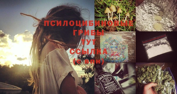 амф Алзамай